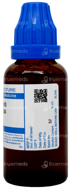 Sbl Ginkgo Biloba Q Mother Tincture 30Ml